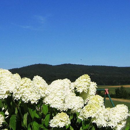 Ferienhaus Zur Weinlaube Thurmansbang Екстериор снимка