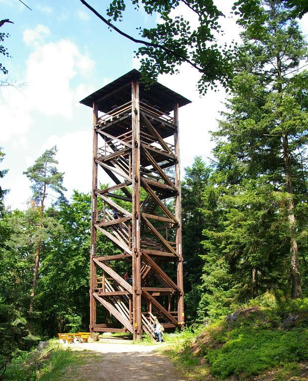 Ferienhaus Zur Weinlaube Thurmansbang Екстериор снимка